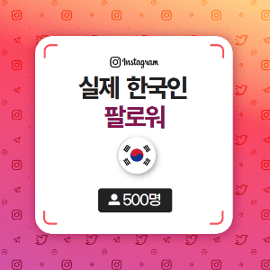 [실제] 한국인 인스타 팔로워 늘리기 500명